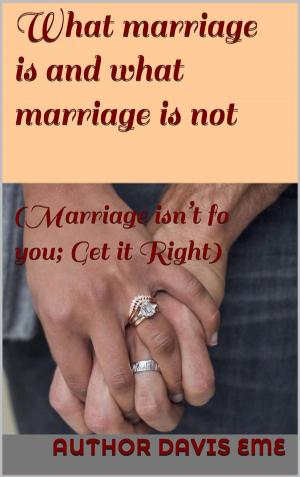 Cover of the book What Marriage is and what Marriage is not (Marriage isn’t for you; Get it Right) by Ellin Chess