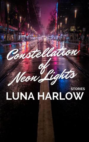 Book cover of Constellation of neon Lights