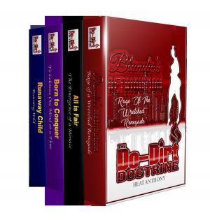 bigCover of the book The Do-Dirt Doctrine Series 4 in 1 box set by 