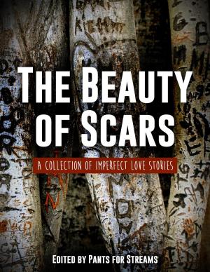 Cover of the book The Beauty of Scars by Keith Duncan