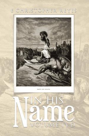 Cover of the book In His Name by Nikita Sataram