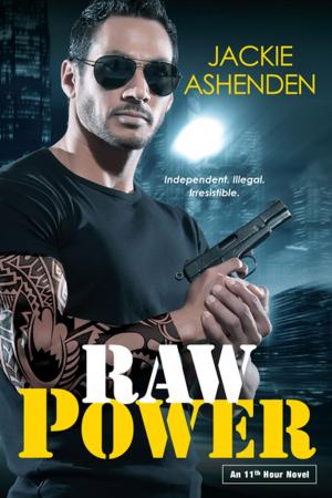 Cover of the book Raw Power by PJ Javouran