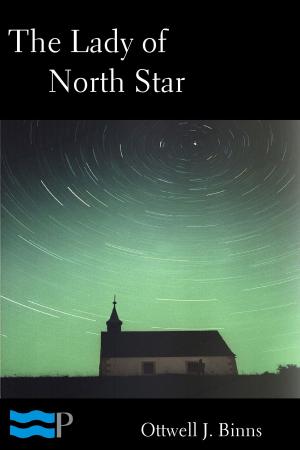 Cover of the book The Lady of North Star by Percy Lubbock