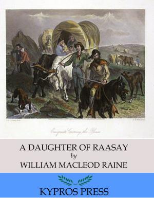 Cover of the book A Daughter of Raasay by Ian Martin