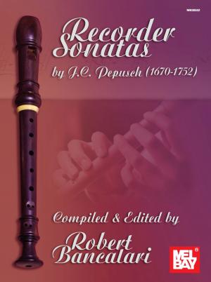 Cover of the book Recorder Sonatas by Graham Tippett