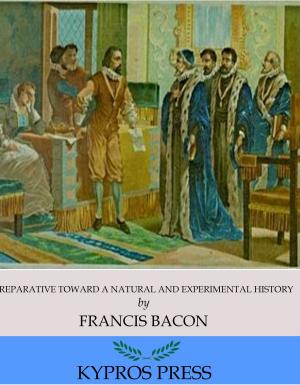 Cover of the book Preparative toward a Natural and Experimental History by J.B Bury