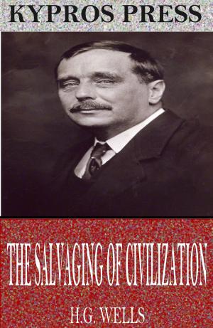 Book cover of The Salvaging of Civilization
