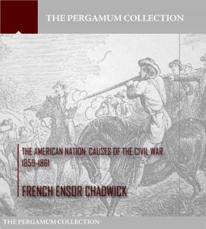 Book cover of The American Nation