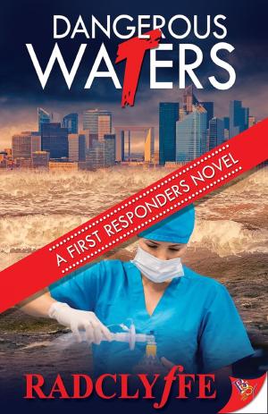 Cover of the book Dangerous Waters by Rachel Spangler