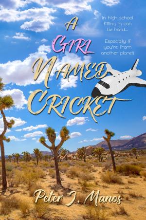 Cover of the book A Girl Named Cricket by Dennis K. Hausker