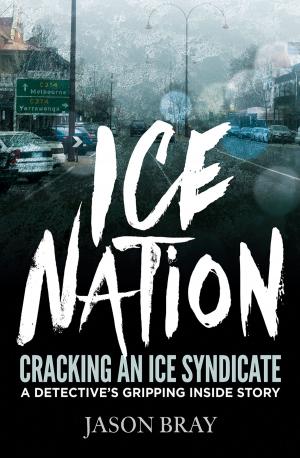 Cover of the book Ice Nation: Cracking an ice syndicate: a detective's gripping inside story by Jeffrey Robinson