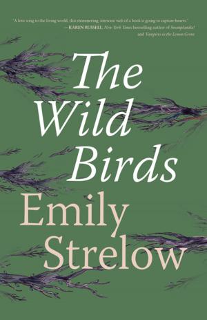 Cover of the book The Wild Birds by Meg Eden