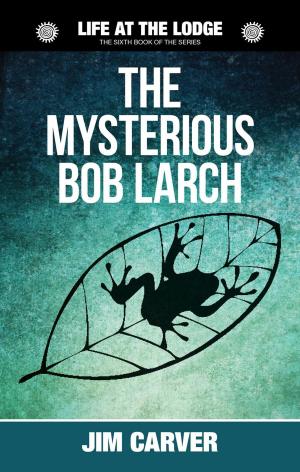 Book cover of The Mysterious Bob Larch