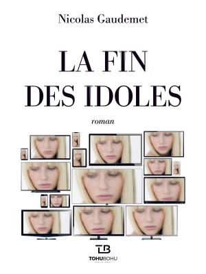 Cover of the book La Fin des Idoles by John R. Christensen
