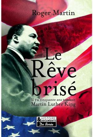 Book cover of Le Rêve brisé