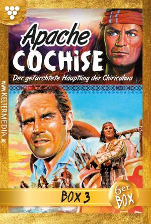 Book cover of Apache Cochise Jubiläumsbox 3 – Western