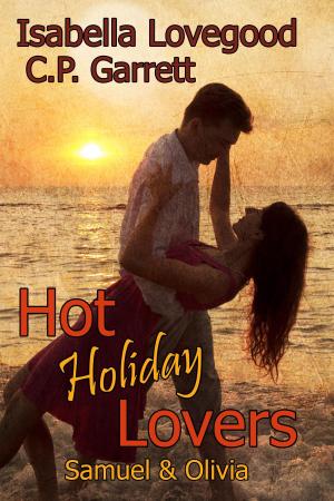 Cover of Hot Holiday Lovers