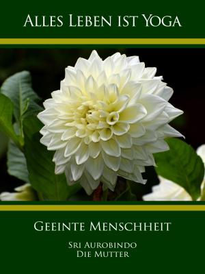 Book cover of Geeinte Menschheit