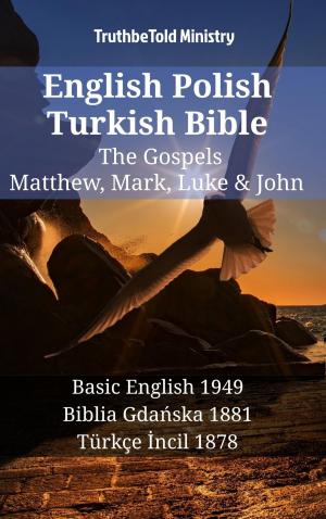 bigCover of the book English Polish Turkish Bible - The Gospels - Matthew, Mark, Luke & John by 