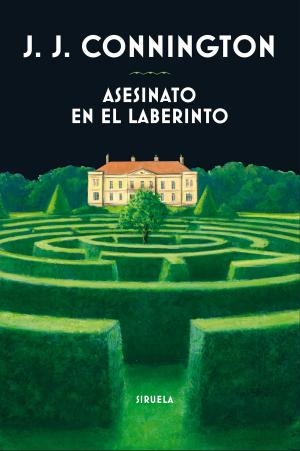 Book cover of Asesinato en el laberinto