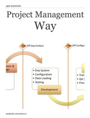 Cover of the book Project Management Way by Anne Caldwell, MBA
