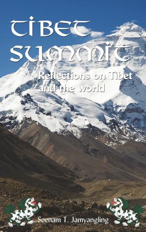 bigCover of the book Tibet Summit by 