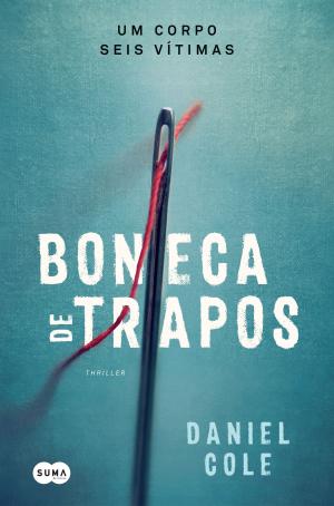 Cover of the book Boneca de trapos by Joël Dicker