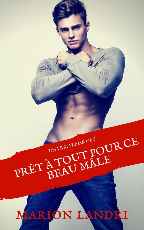 Cover of the book Prêt à tout pour ce beau mâle by Marion Landri, ML Edition