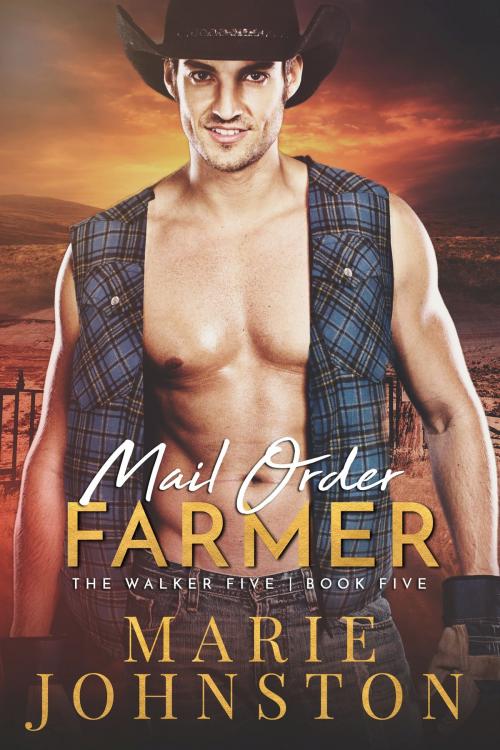 Cover of the book Mail Order Farmer by Marie Johnston, LE Publishing