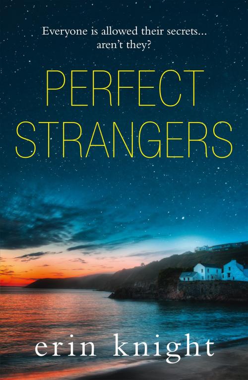 Cover of the book Perfect Strangers by Erin Knight, HarperCollins Publishers