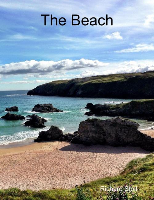 Cover of the book The Beach by Richard Stoll, Lulu.com