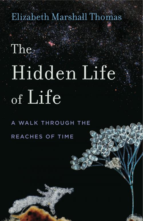 Cover of the book The Hidden Life of Life by Elizabeth Marshall Thomas, Penn State University Press