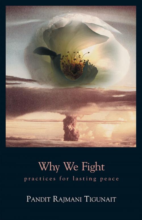 Cover of the book Why We Fight by Pandit Rajmani Tigunait, Himalayan Institute