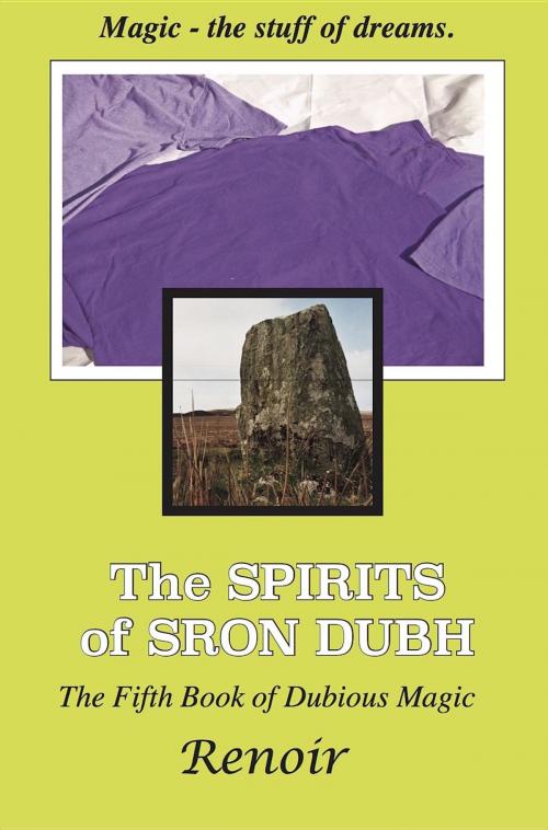 Cover of the book THE SPIRITS OF SRON DUBH by Renoir, Meredian Pictures & Words