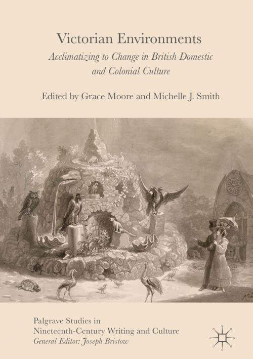 Cover of the book Victorian Environments by , Palgrave Macmillan UK