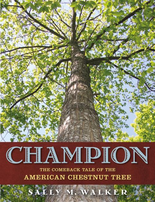 Cover of the book Champion by Sally M. Walker, Henry Holt and Co. (BYR)