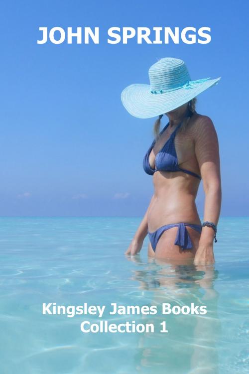 Cover of the book Kingsley James Books: Collection 1 by John Springs, Ocotillo Books