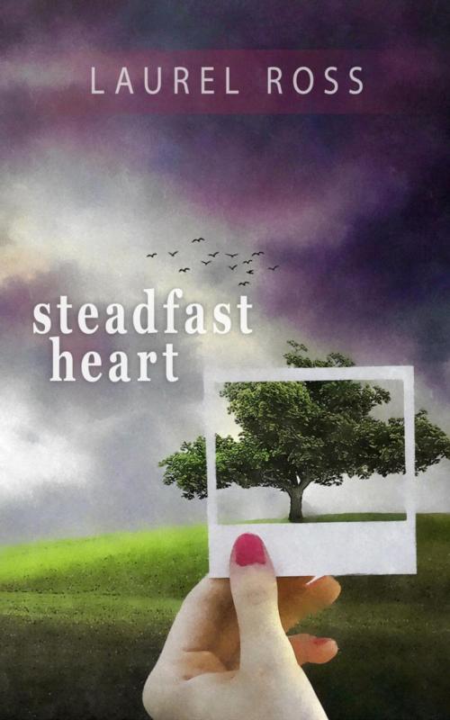 Cover of the book Steadfast Heart by Laurel Ross, Life Love Light Publishing