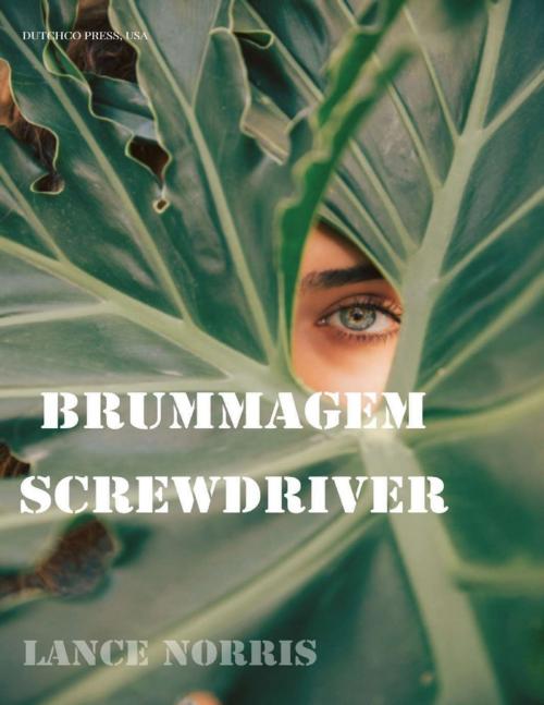 Cover of the book The Brummagem Screwdriver by Lance Norris, Lulu.com