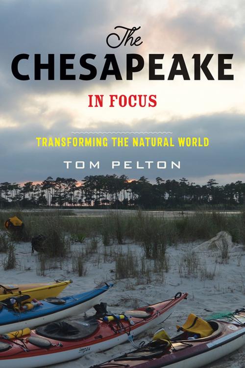 Cover of the book The Chesapeake in Focus by Tom Pelton, Johns Hopkins University Press