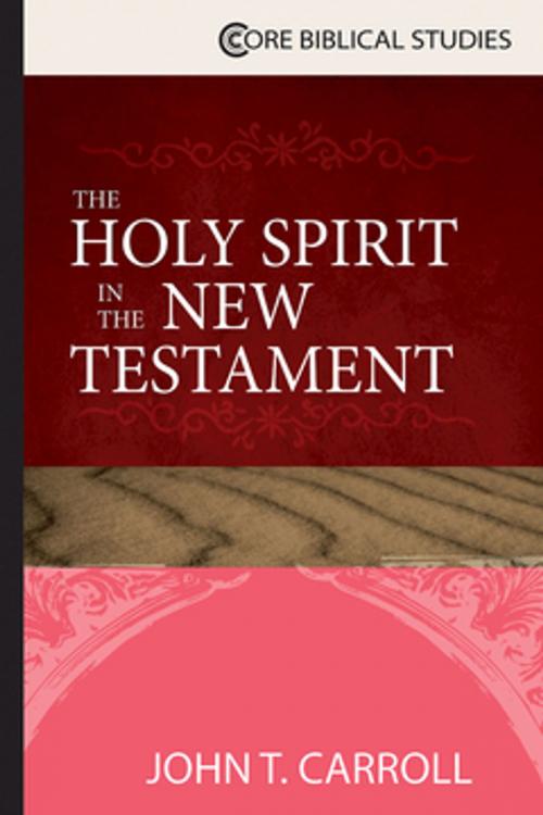 Cover of the book The Holy Spirit in the New Testament by John T. Carroll, Abingdon Press