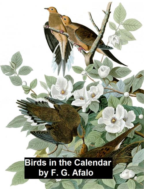 Cover of the book Birds in the Calendar by F. G. Aflalo, Seltzer Books