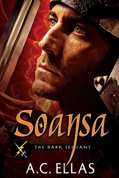 Cover of the book Soansa by A.C. Ellas, eXtasy Books Inc