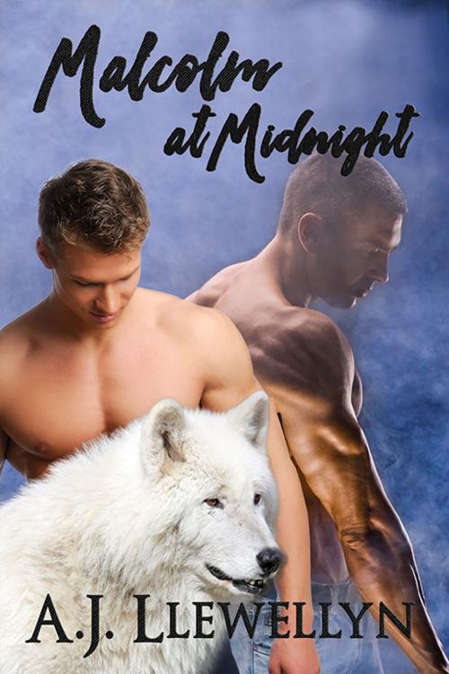 Cover of the book Malcolm at Midnight by A.J. Llewellyn, eXtasy Books Inc