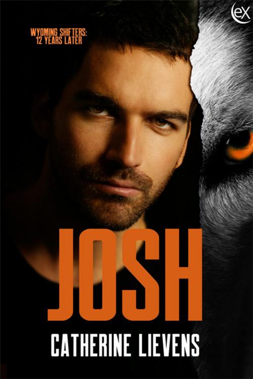 Cover of the book Josh by Catherine Lievens, eXtasy Books Inc