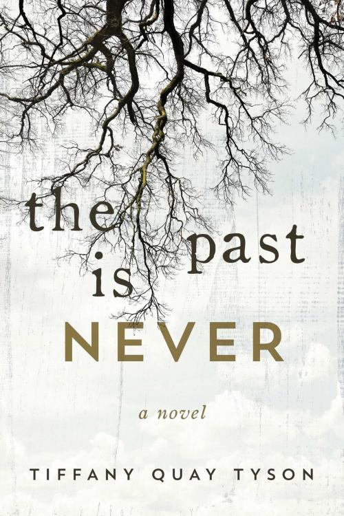 Cover of the book The Past Is Never by Tiffany Quay Tyson, Skyhorse