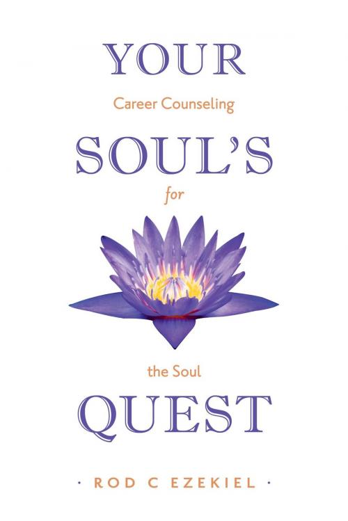 Cover of the book Your Soul's Quest by Rod C Ezekiel, FriesenPress