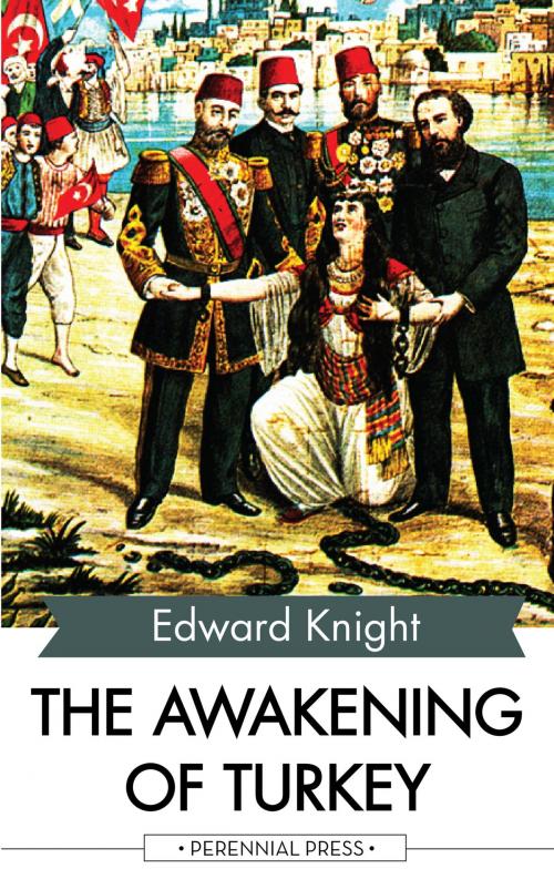 Cover of the book The Awakening of Turkey by Edward Knight, Perennial Press