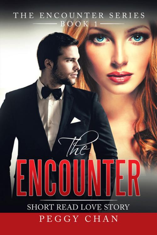 Cover of the book The Encounter by Peggy Chan, Partridge Publishing Singapore