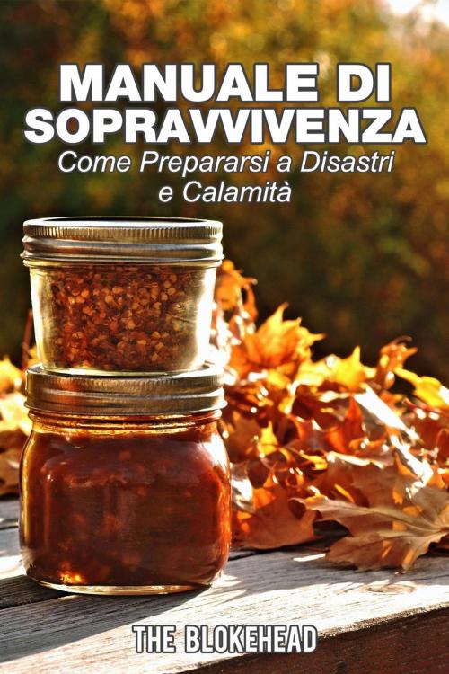 Cover of the book Manuale di sopravvivenza. Come prepararsi a disastri e calamità. by The Blokehead, Babelcube Inc.